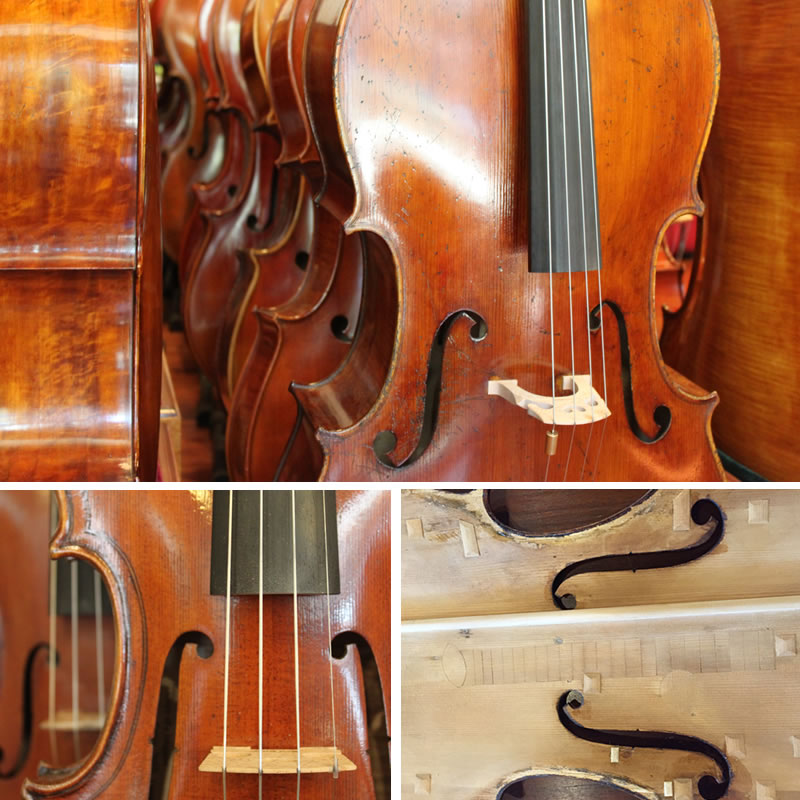 Muni Strings Violas