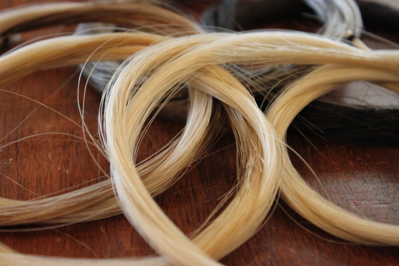 Types Of Bow Hair Available For Rehair Muni Strings